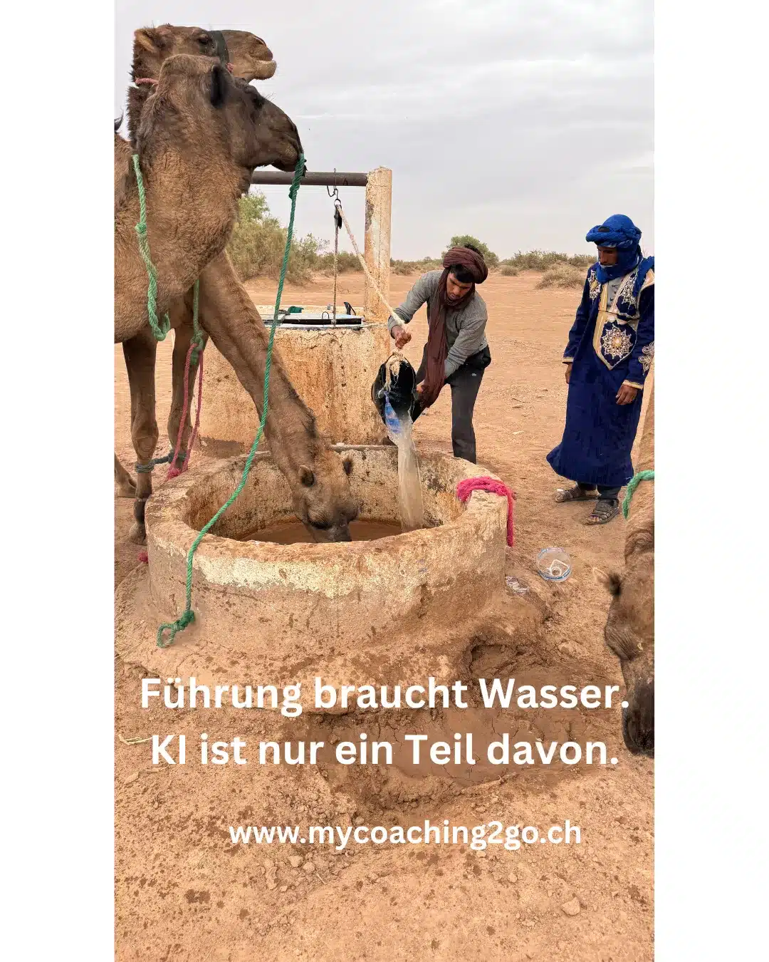 8 #KI Impulse, die Führungskräfte vor dem «Verdursten» retten – Klarheit für eine komplexe Arbeitswelt