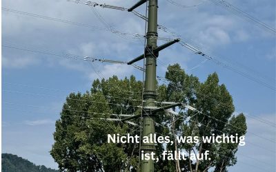 Berufliche Entwicklung beginnt früher als die nächste Beförderung