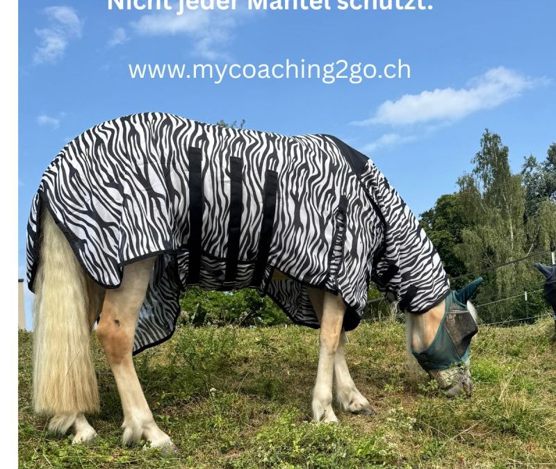 Dieses Pferd will gar kein Zebra sein – was das über Führung und Vertrauen verrät