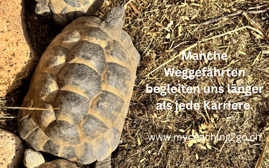 Was bleibt durch ein ganzes Berufsleben?