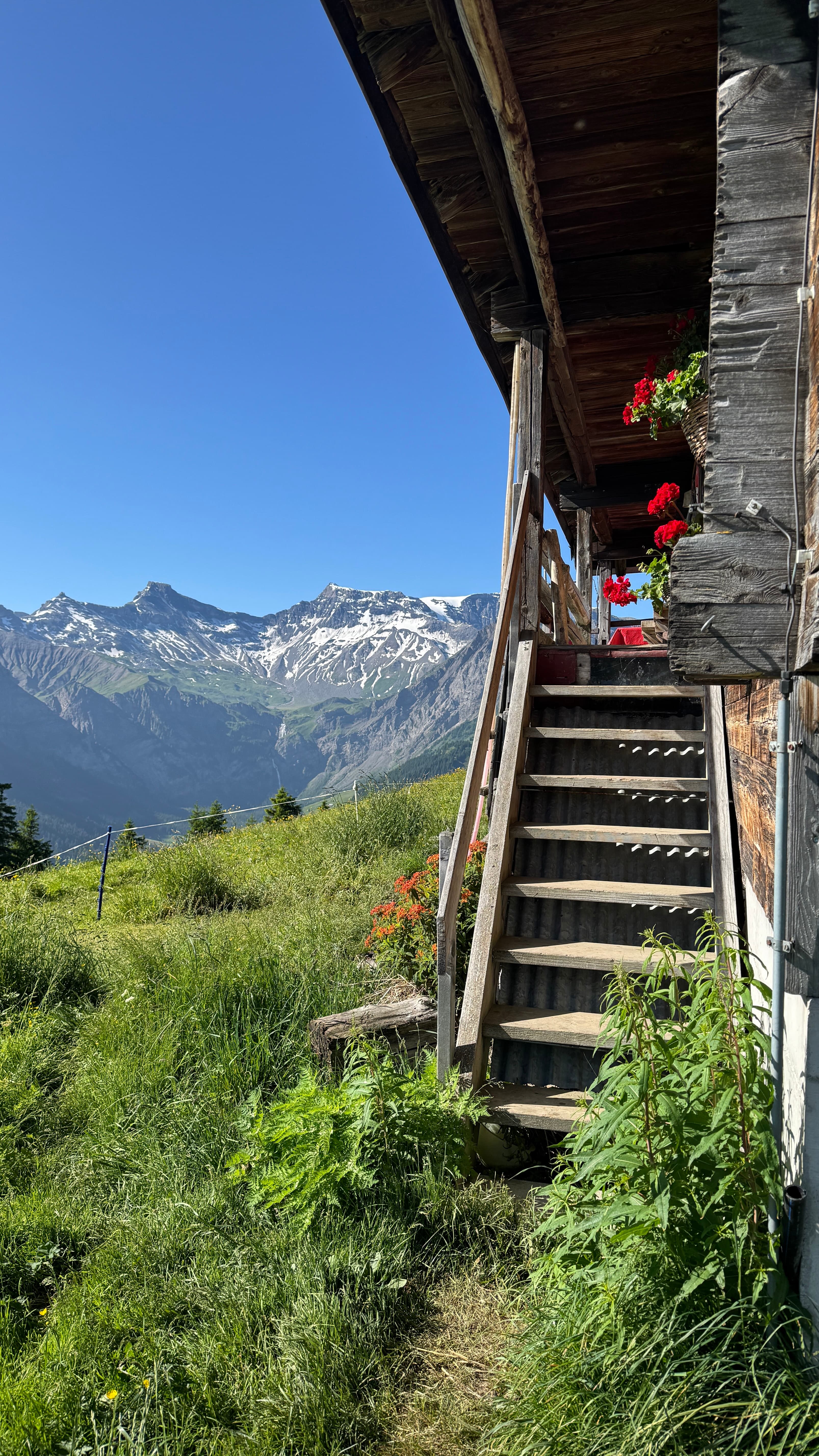 Intensiv Coaching in den Schweizer Bergen Bild 3